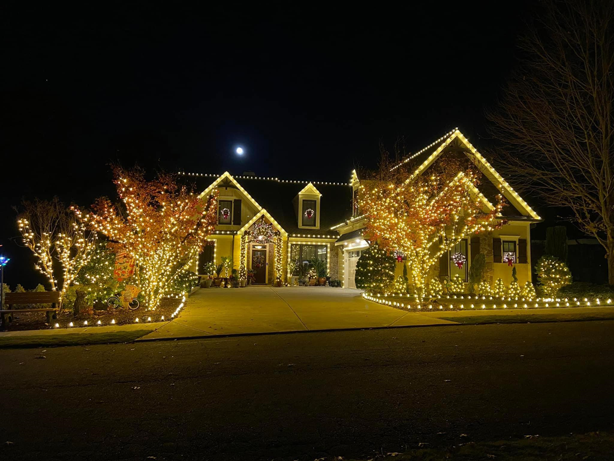 Magical Christmas Transformation