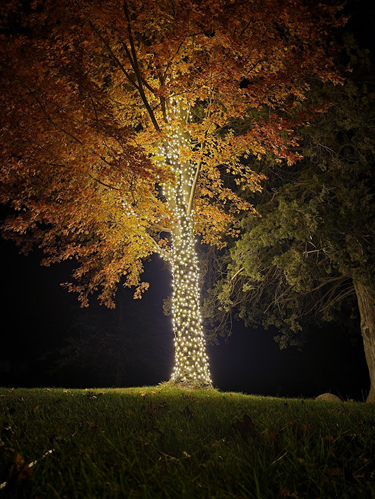 Beautiful Holiday Home Lighting